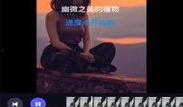 葫芦最新爆料视频下载安装,揭秘下载安装全过程，带你领略科技魅力