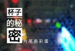山东饭店爆料视频最新,揭露惊人内幕，真相令人震惊