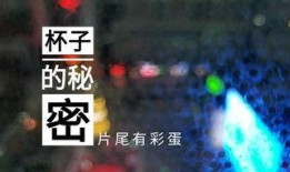 山东饭店爆料视频最新,揭露惊人内幕，真相令人震惊